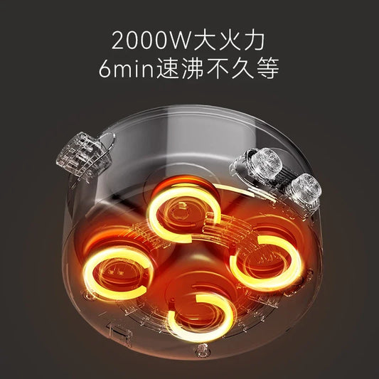 Mandarin duck electric hot pot