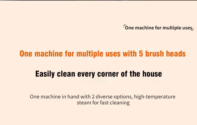Handheld Steam Cleaner