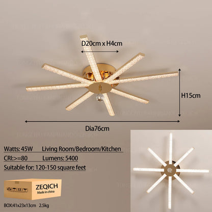 Modern LED Ceiling Light