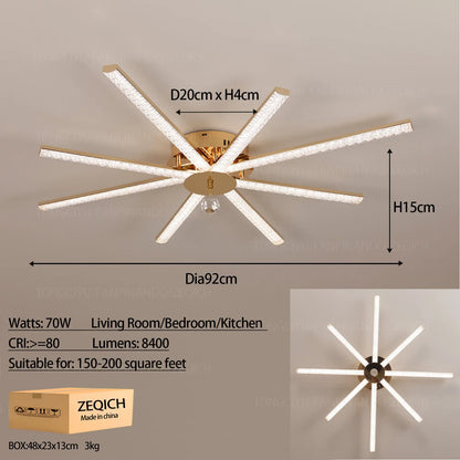 Modern LED Ceiling Light