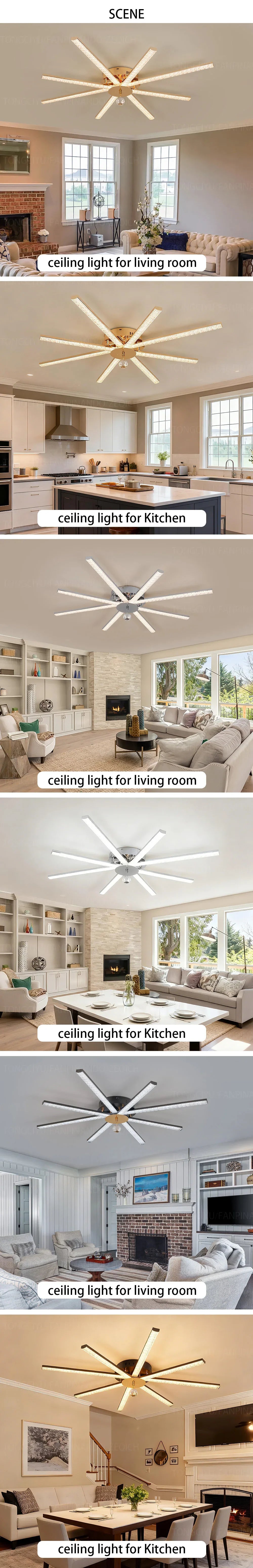 Modern LED Ceiling Light