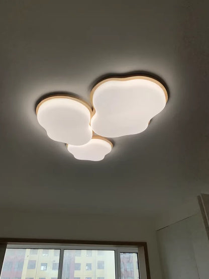 Grand View Garden Rectangular Ceiling Light