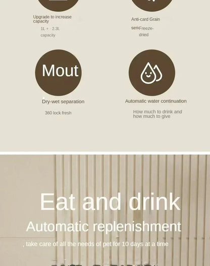 Automatic Pet Feeder & Water Fountain