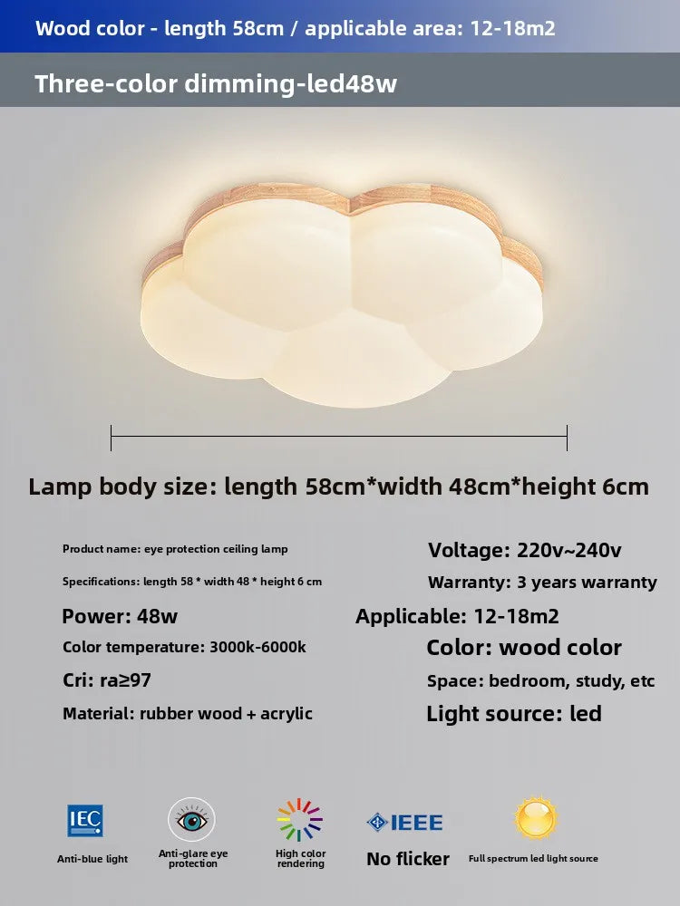 Grand View Garden Rectangular Ceiling Light