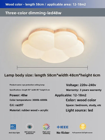 Grand View Garden Rectangular Ceiling Light