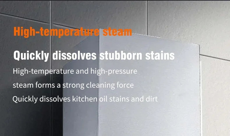 Handheld Steam Cleaner