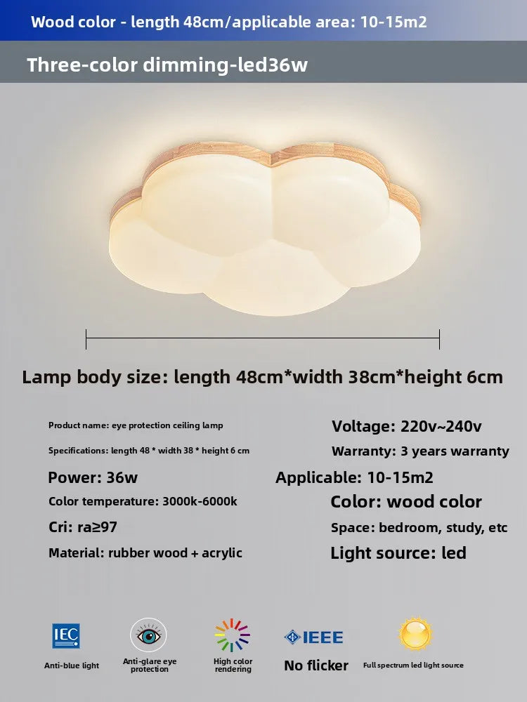 Grand View Garden Rectangular Ceiling Light