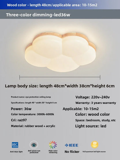 Grand View Garden Rectangular Ceiling Light