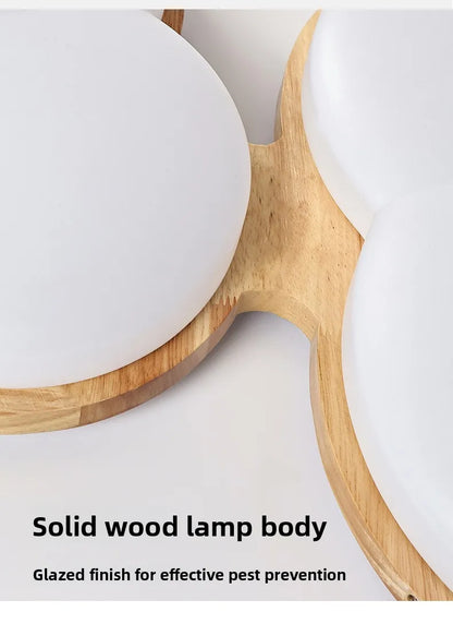 Grand View Garden Rectangular Ceiling Light