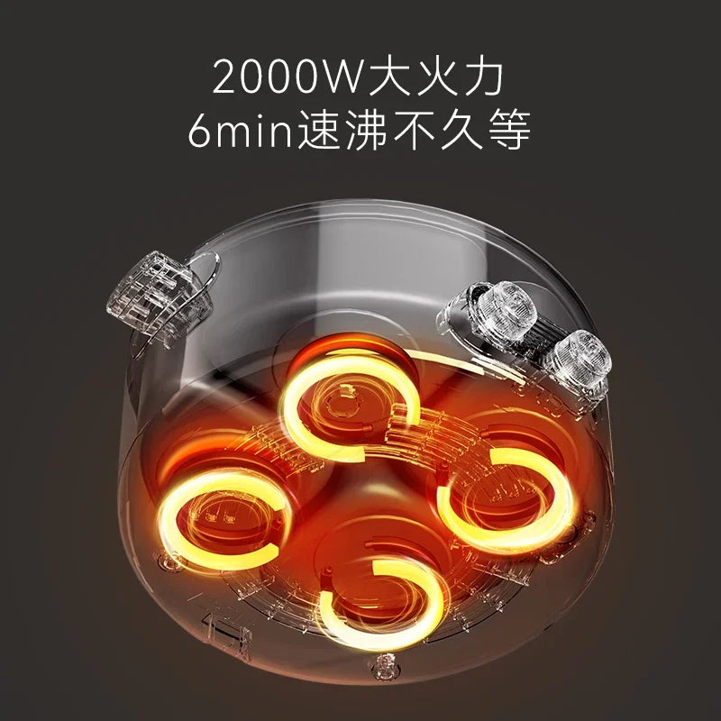 Mandarin duck electric hot pot