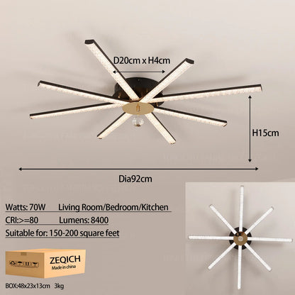 Modern LED Ceiling Light