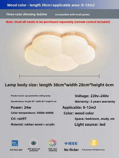 Grand View Garden Rectangular Ceiling Light