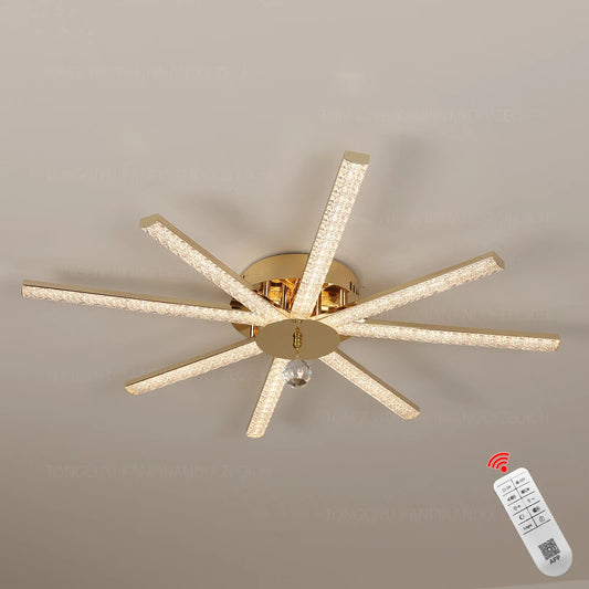 Modern LED Ceiling Light